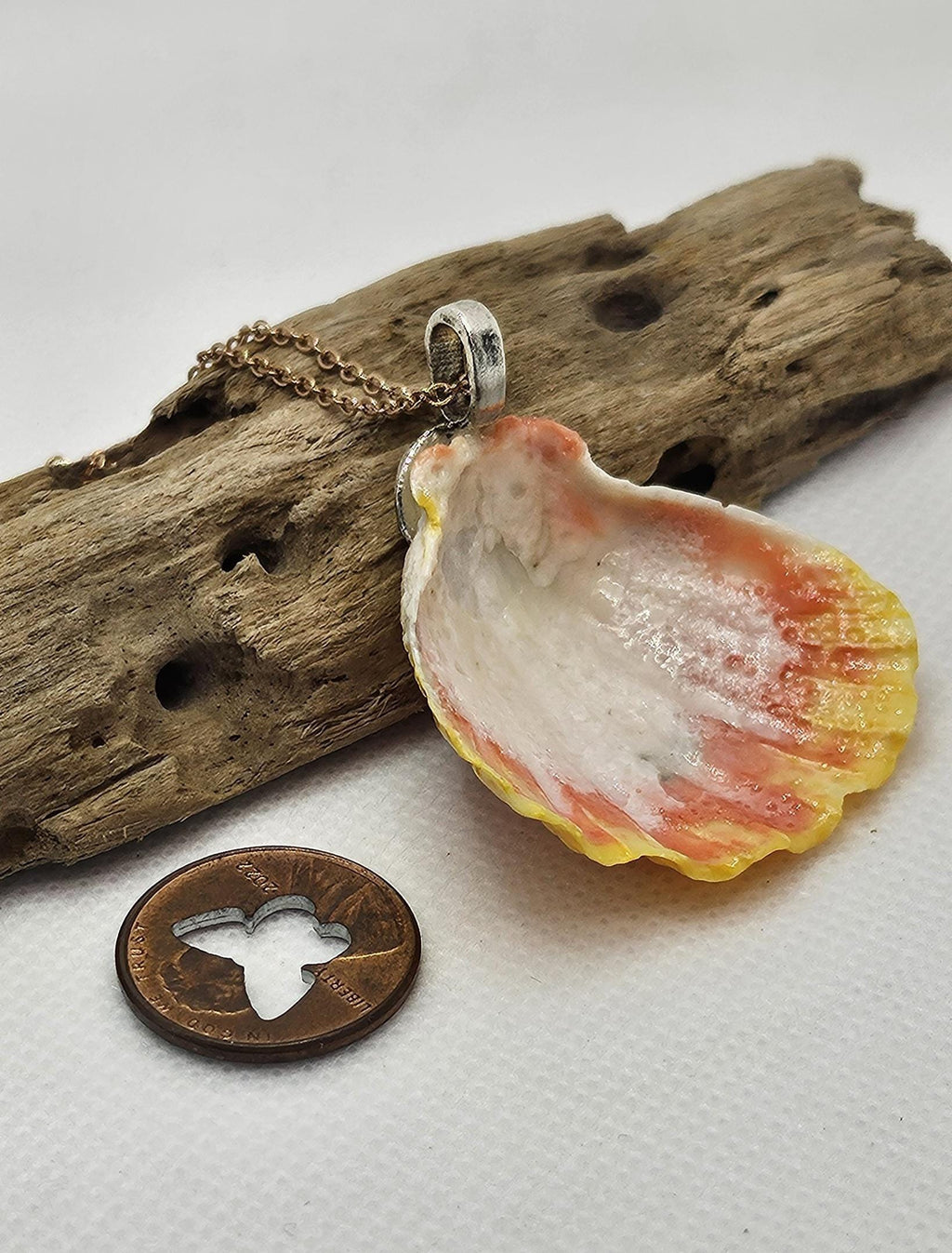 Rare Hawaiian Sunrise Shell Pendant with Dazzling Rose Gold Chain for Unique Rustic Boho Style