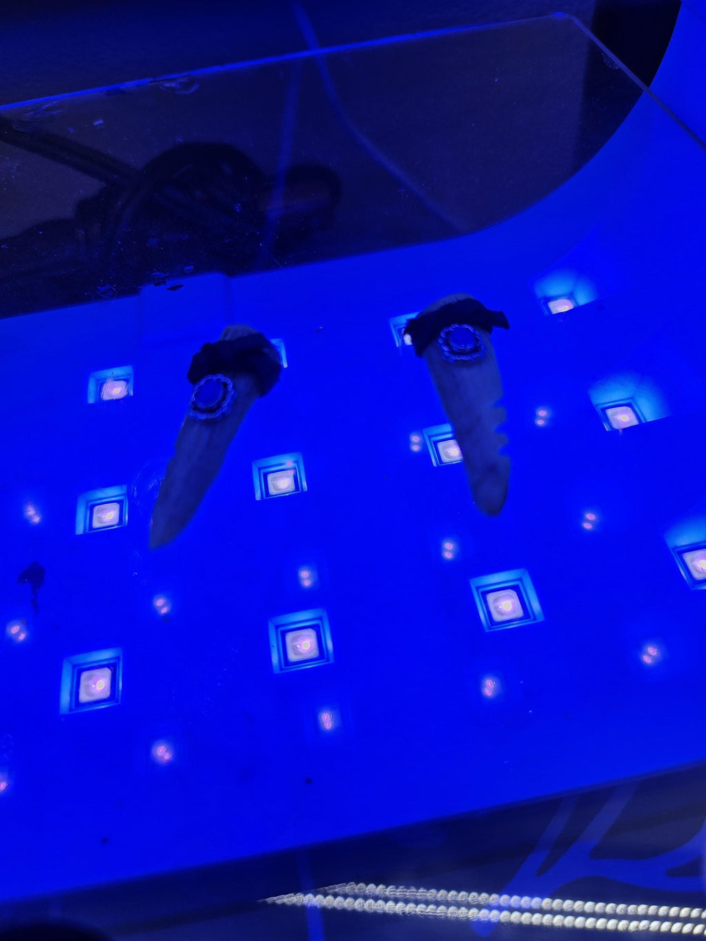 Handmade Rustic Boho Split Deer Antler Tine  Leather Earrings with Turquoise and Gemstones - Unique Gift for Her Free Shipping