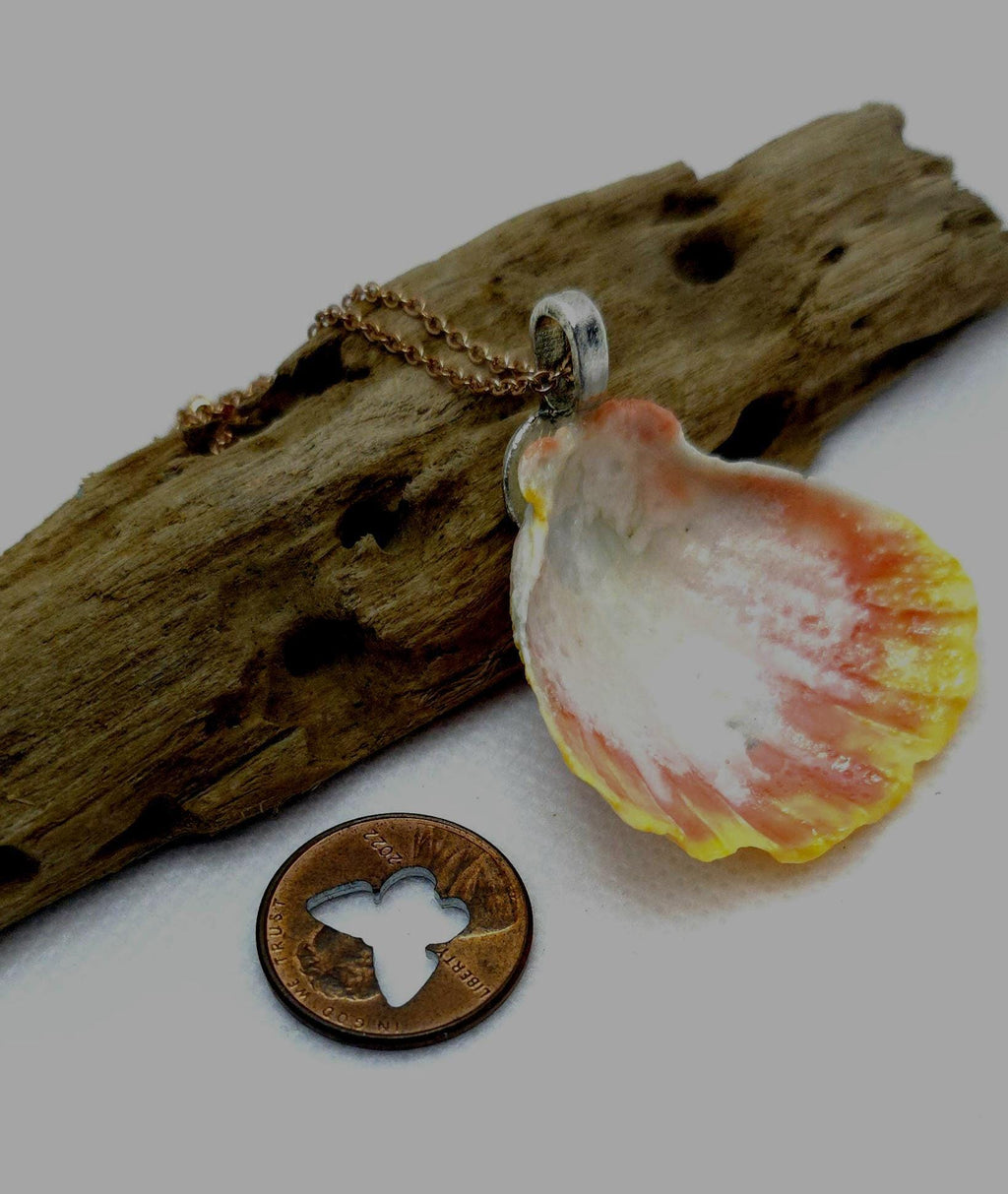 Rare Hawaiian Sunrise Shell Pendant with Dazzling Rose Gold Chain for Unique Rustic Boho Style